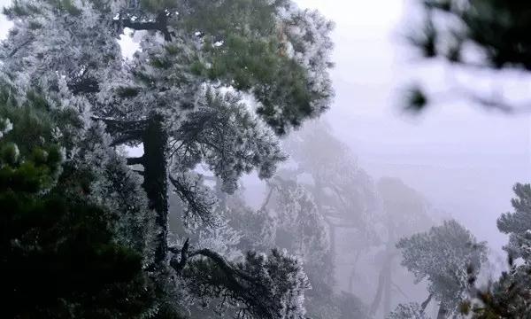 我的老师是偶像