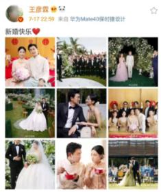 救援小犬立苏