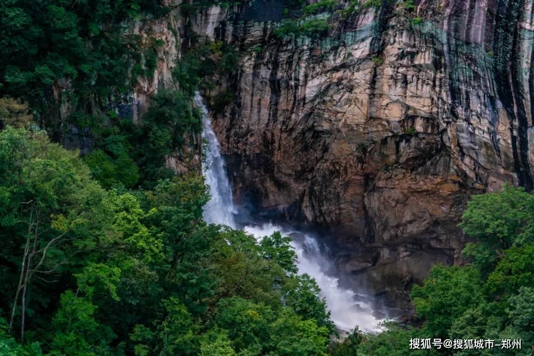 海底世界填颜色3